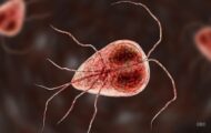 How Do You Know if You Have a Giardia Infection?