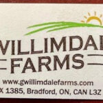 Gwillimdale Farms Onions Recalled in Canada For Salmonella