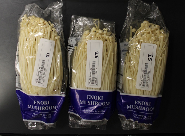 HH Fresh Trading Enoki Mushrooms Recalled For Possible Listeria