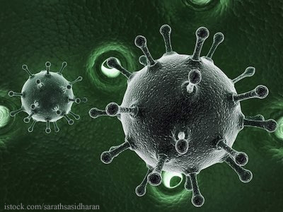 Hepatitis A Virus 3D drawing