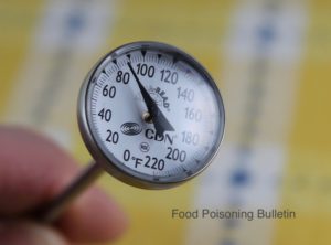 Holding Food Thermometer