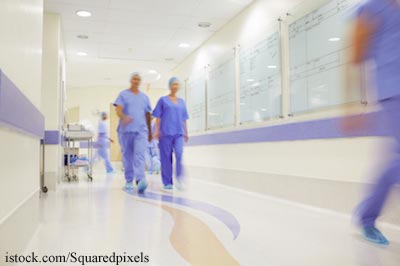 Symptoms of Bird Flu in Humans and Domestic Pets
