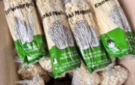 IQ Produce Enoki Mushrooms Recalled For Possible Listeria