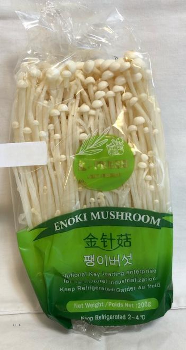 K-Fresh Enoki Mushrooms Recalled in Canada For Listeria 