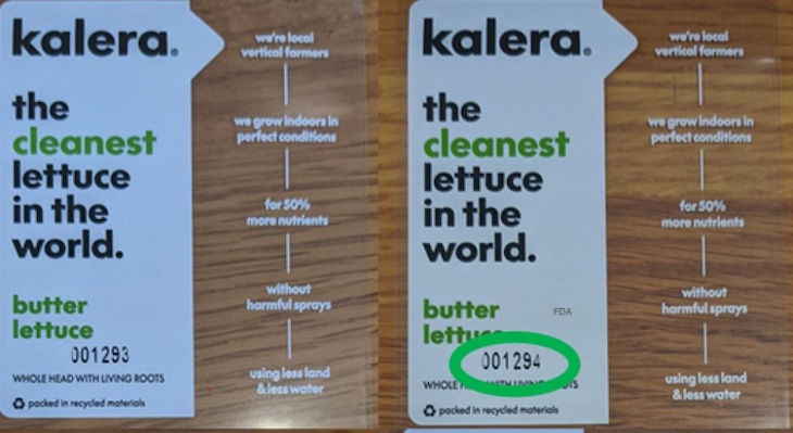 Kalera Whole Head Lettuces Recalled For Possible Salmonella