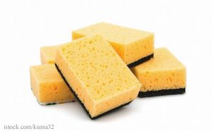 kitchen sponges on a white background
