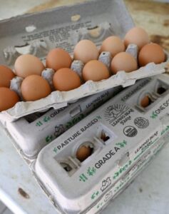 Leaping Bear Eggs Salmonella Outbreak Sickens 14 in Vermont