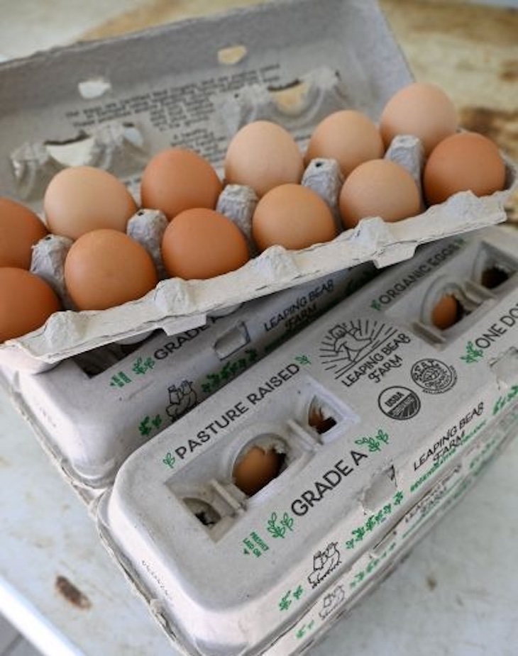 Leaping Bear Eggs Salmonella Outbreak Sickens 14 in Vermont