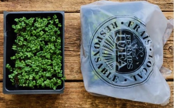 Les Fermes Lufa Broccoli Microgreens Recalled For E. coli