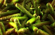 New Listeria Outbreak Added to FDA CORE Outbreak Table