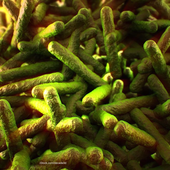 China Buffet Listeria Outbreak in Tampa, Florida Sickens Five