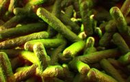 New Listeria Monocytogenes Outbreak on FDA CORE Table