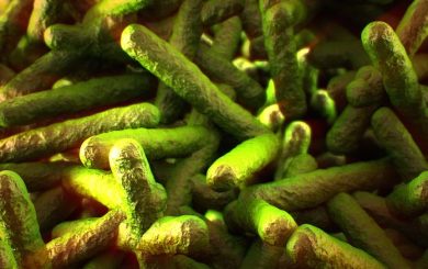 China Buffet Listeria Outbreak in Tampa, Florida Sickens Five