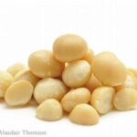 Andersen & Sons Macadamia Nuts Recalled For Salmonella