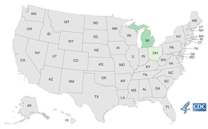 Michigan and Ohio E. coli Outbreak Sickens 29 According to CDC