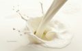 Nature View Dairy Raw Milk Campylobacter Outbreak in CT