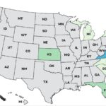 Moringa Leaf Powder Salmonella Outbreak Ends With 11 Sick