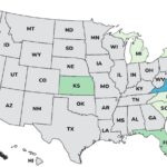 Moringa Leaf Powder Salmonella Outbreak Sickens 11 in 7 States