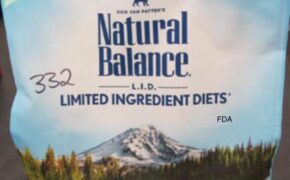 Natural Balance Cat Food Recalled For Possible Salmonella Contamination