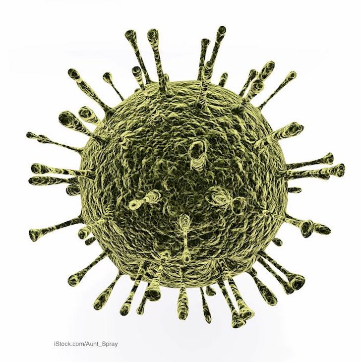 Norovirus Vaccine May Be Possible Using Newly Discovered Antibodies
