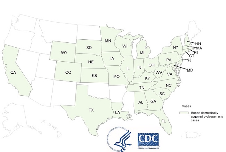 Now 1060 Cyclospora Illnesses in the United States This Summer