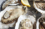 Oysters Contaminated with Vibrio Vulnificus Kill Two in Louisiana