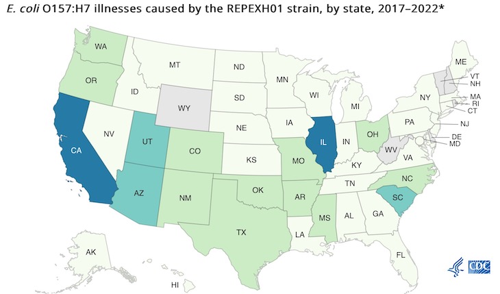 Persistent Strain of E. coli O157:H7 in United States, Says CDC