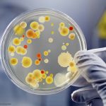 Princeton Develops Poison Arrow Against Antibiotic-Resistant Bacteria