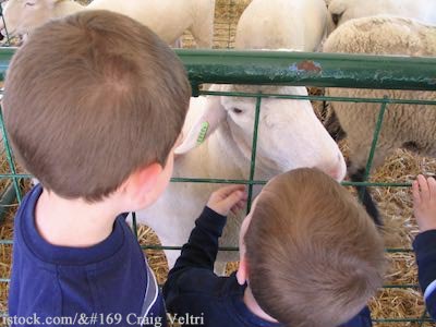 Kids at a Petting Zoo
