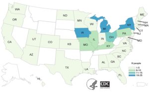 Pig Ear Dog Treats Salmonella Outbreak Number 6 of 2019