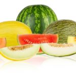 Melon Salmonella Adelaide Outbreak