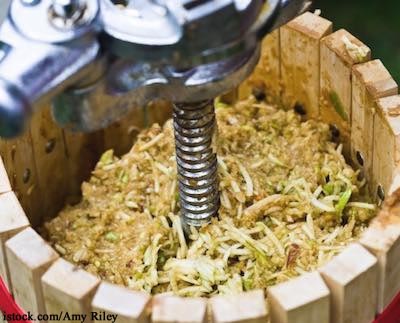 Pressing Apple Cider