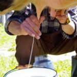 Five Raw Milk Outbreaks Highlight the Inherent Risk