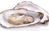 FDA on Wild Harvest Oysters Salmonella Outbreak in FL GA AL