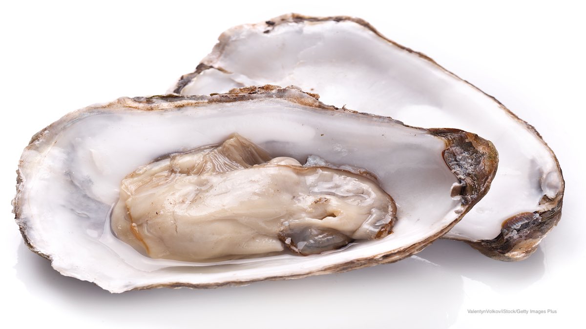 Raw Oysters Vibriosis