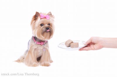 Raw Pet Food