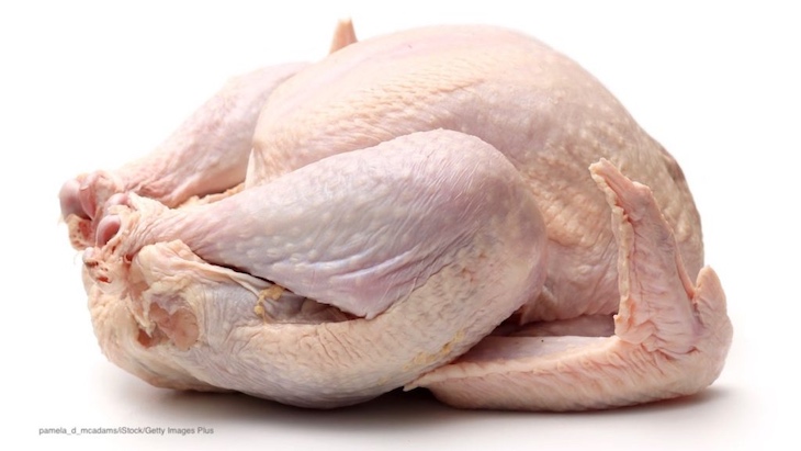 Antibiotic-Free or Organic Poultry Less Likely to Have MultiDrug-Resistant Bacteria