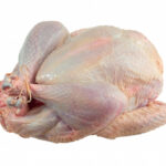 CDC Study Reveals Salmonella Serotypes Linked to Thanksgiving Foods