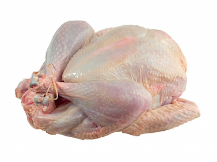 Salmonella Hadar Outbreak May Be Linked to Turkey