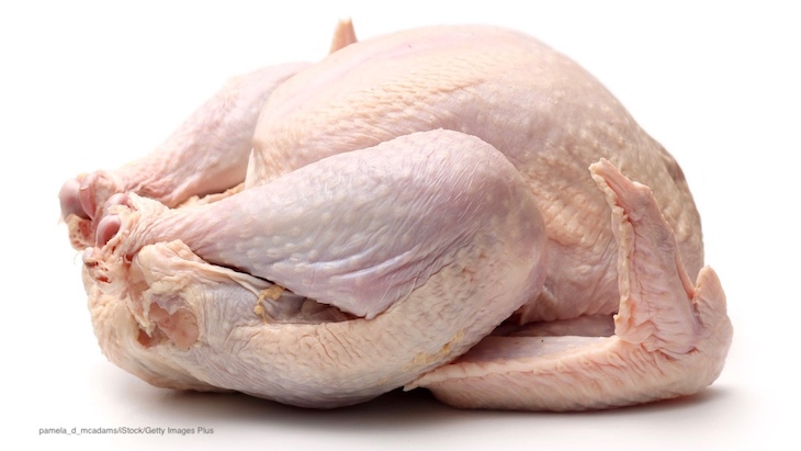 Top 10 Food Outbreaks of 2019: #8 Raw Chicken Salmonella Infantis