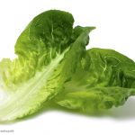 Romaine lettuce E. coli O157 HUS outbreak