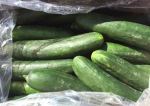 Safeway Recalled Salmonella Cucumbers Canada