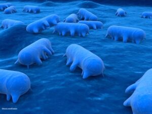 St. Joseph County Jail Salmonella Outbreak Sickens 23 Inmates