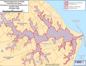 Salmonella Outbreak Linked to Shellfish From Wicomico River, VA
