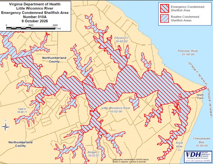 Salmonella Outbreak Linked to Shellfish From Wicomico River, VA