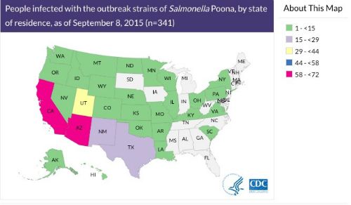 Salmonella Poona Cucumber Outbreak 9915