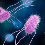 Traveling to Mexico? CDC Warns About Salmonella Newport Risk