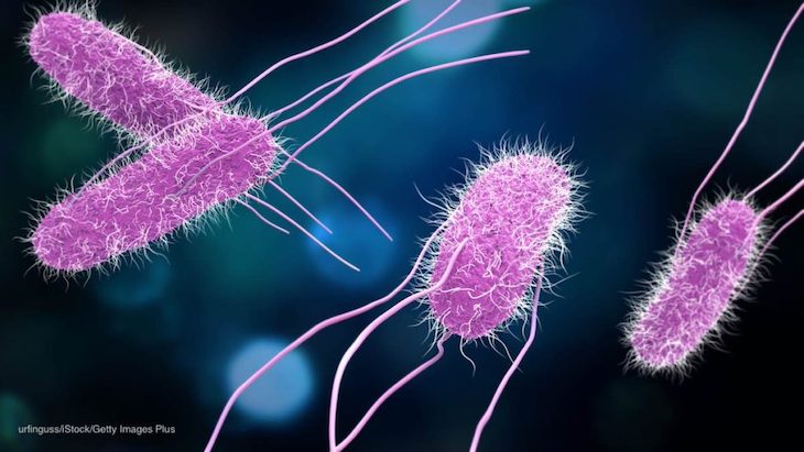 How Many Active Salmonella Outbreaks Are There in the U.S.?