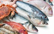 Risks Of Consuming Toxins in Fish and Shellfish Highlighted