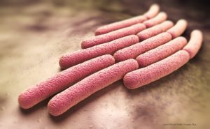 Shigella Outbreak Declared in Amador County, California